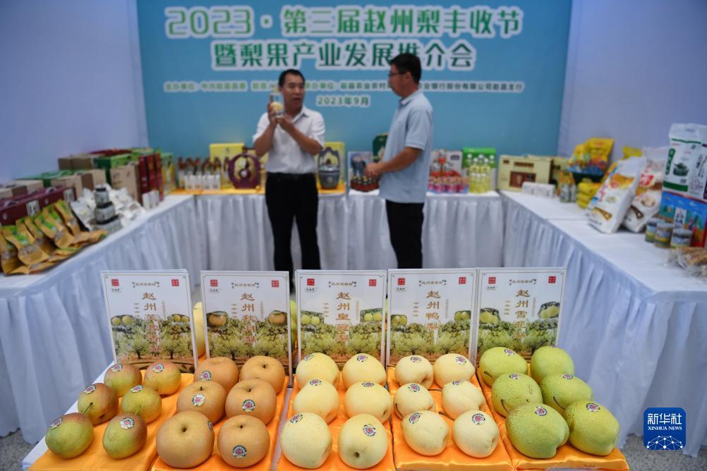 狮子会网投